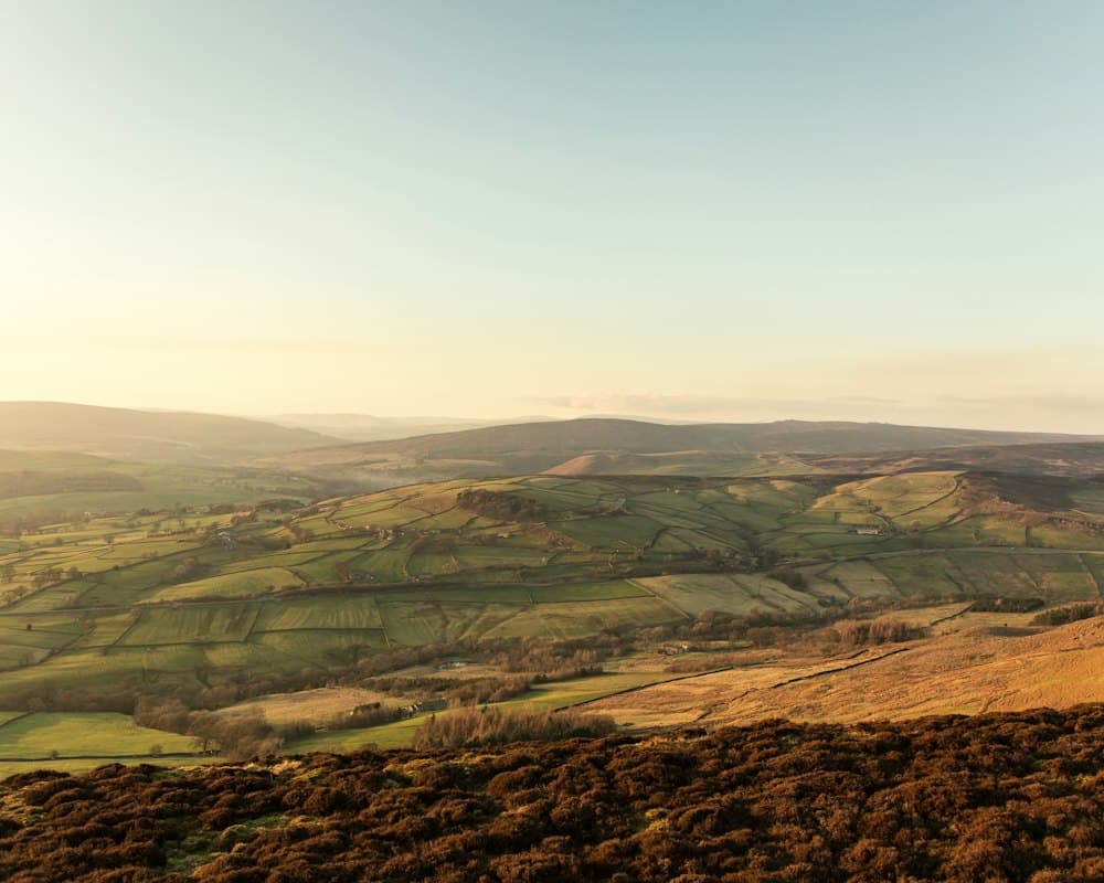 Moorland at dusk with soft golden light